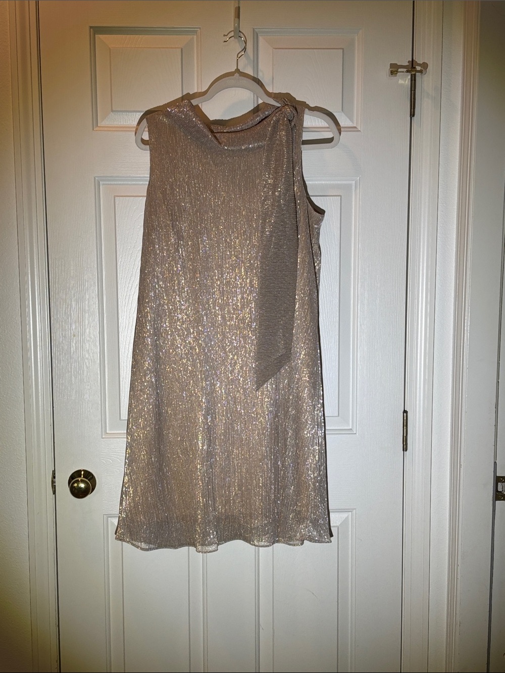 Sleeveless Metallic Sheath Dress in Champagne